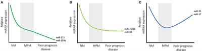 Manipulating microRNAs for the Treatment of Malignant Pleural Mesothelioma: Past, Present and Future